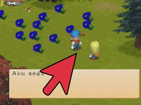 How to Succeed in Harvest Moon Back to Nature (with .